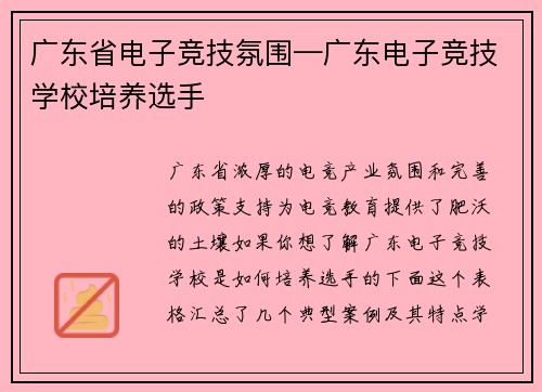 广东省电子竞技氛围—广东电子竞技学校培养选手